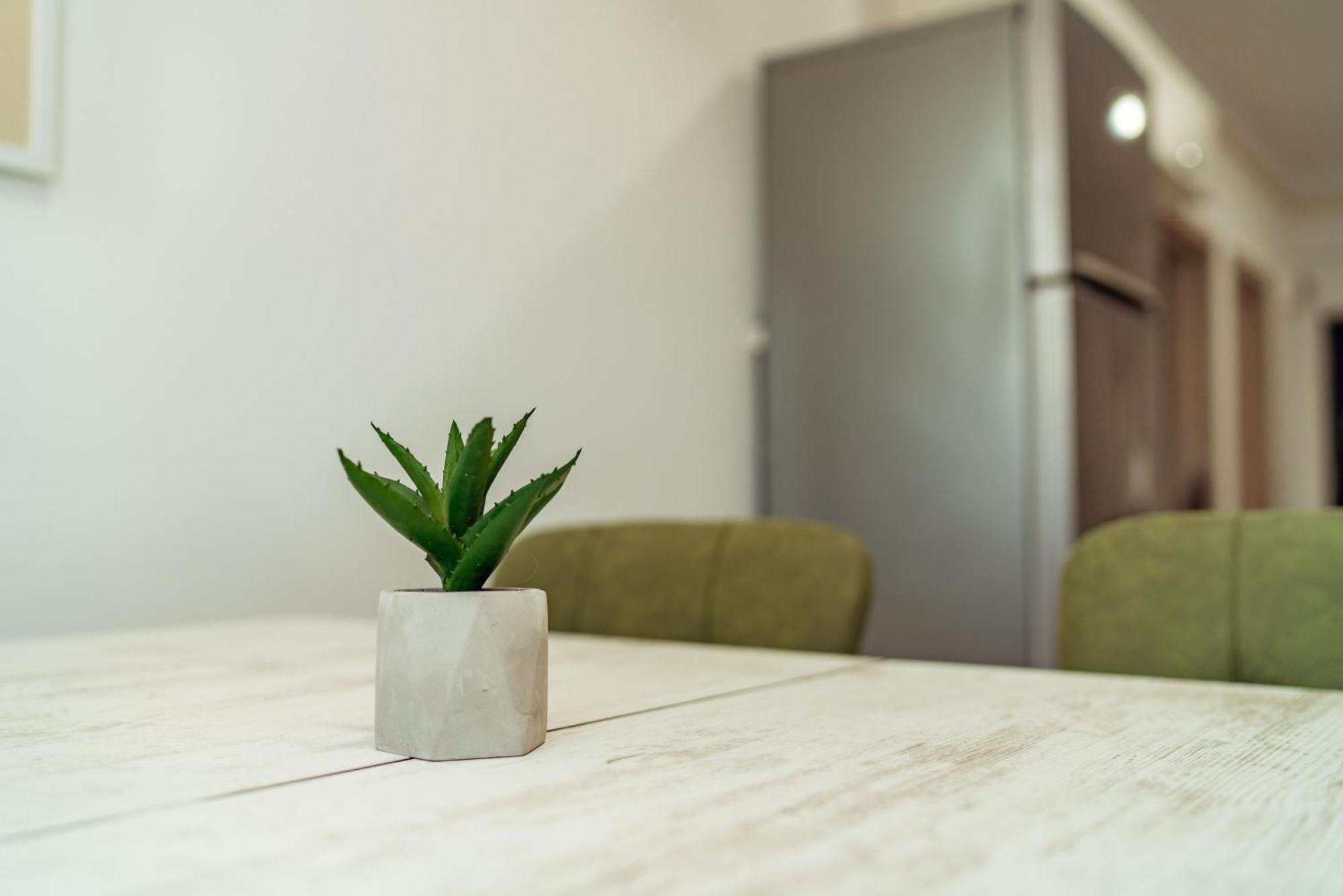 Cozy Apartments - One Residence Iasi Luaran gambar